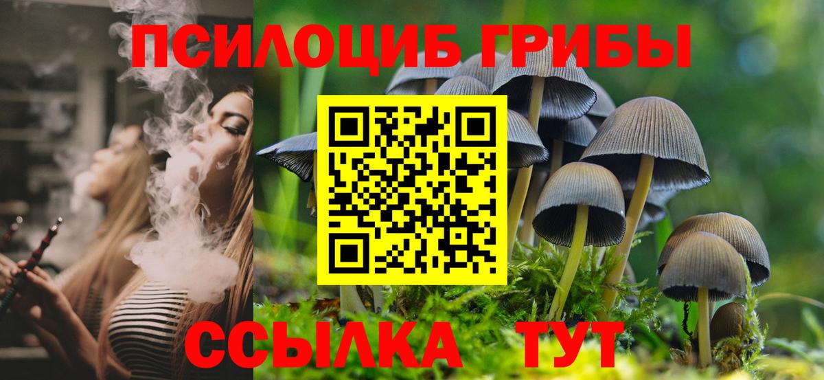 Псилоцибиновые грибы мухоморы Мирный